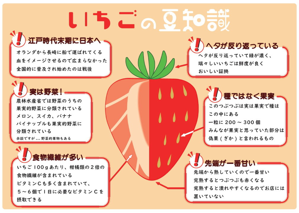 訓練生T様のインフォグラフィックス制作作品